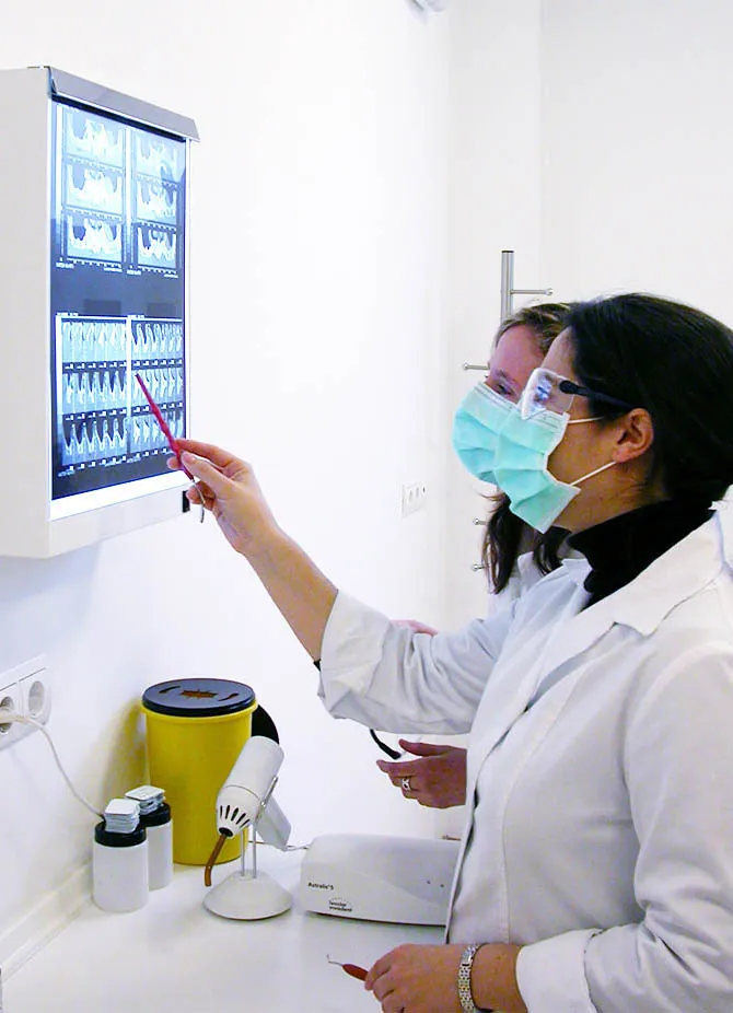 Endodoncia en Clínica Dental Aranda